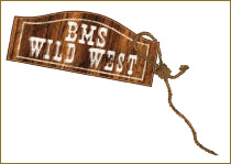 BMS